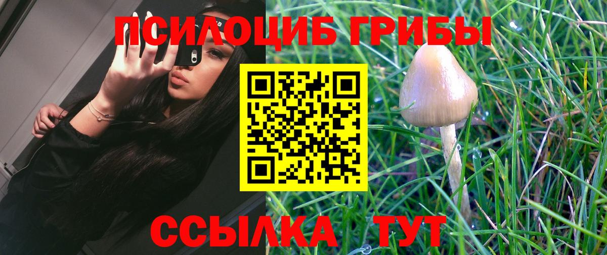 Псилоцибиновые грибы Psilocybine cubensis  Вход с VPN  Новодвинск 
