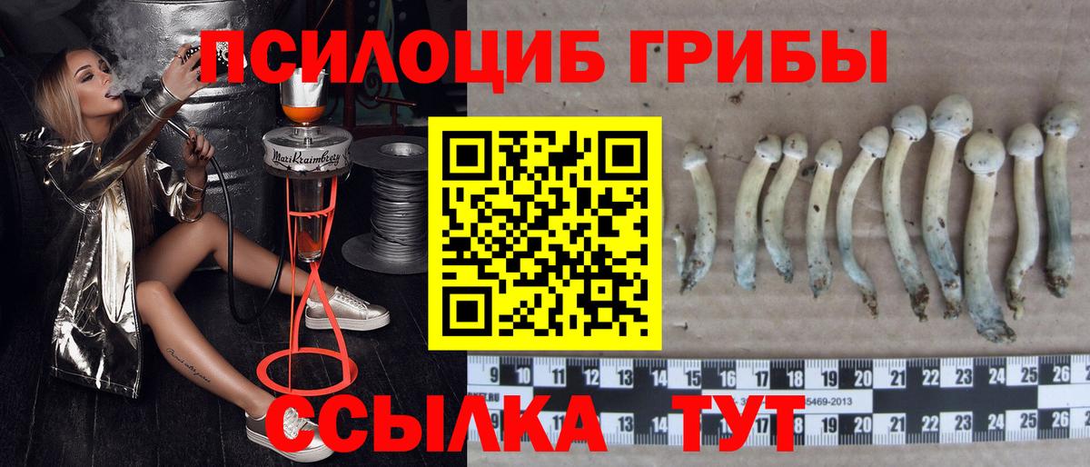 Галлюциногенные грибы MAGIC MUSHROOMS Новодвинск